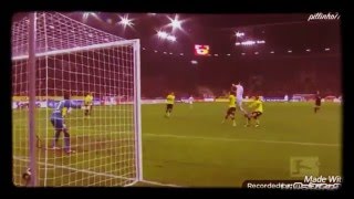 Roman Weidenfeller BEST SAVES 20112012 [upl. by Herodias]