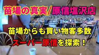 苗場の真実・原信塩沢店  原信スーパーにお使いに行ったら、品数が多く安いので驚きました！ [upl. by Cale]