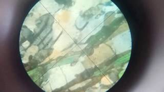 Study of Gneiss in thin section under microscope [upl. by Enileme]