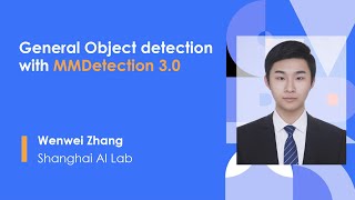 General Object detection with MMDetection 30 [upl. by Georgy313]