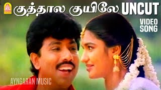 Kuthalakuyile  UnCut Video Song  குத்தாலக்குயிலே  Thirumathi Palanisamy  Sathyaraj Ilaiyaraaja [upl. by Geraldine]