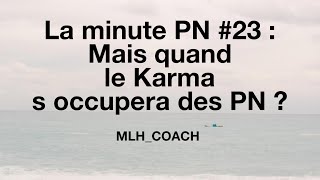 La minute PN  23  Mais quand le Karma s occupera des PN [upl. by Ecnadnak184]