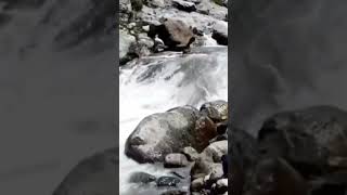 Kedarnath। Shiv Mantra । Shiv Bhajan shortsvideo kedarnath chaitaleechhaya dwadashastotram [upl. by Ruenhs523]