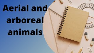 Aerial and Arboreal animals [upl. by Cassiani]