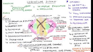 Cerebellar Disease  Cerebellar Lesions [upl. by Ahsayn]