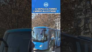 GLI AZZURRI SONO ARRIVATI 🔥Tanti tifosi allesterno dello stadio a Torino TorinoNapoli SerieA [upl. by Nicholl]