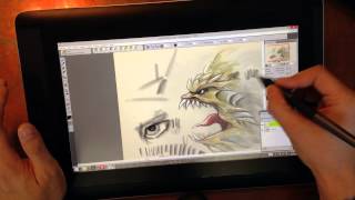 Crabfu Review Wacom Cintiq Companion [upl. by Eelasor]