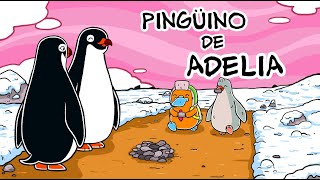 Hola Flinko  Pingüinos de Adelia  Capítulo 8 Completo Temporada 1 [upl. by Kaden]