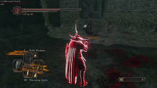 DARK SOULS II Invasion with Kamen Rider Diend Theme Song [upl. by Burbank]