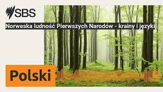 Norweska ludność Pierwszych Narodów  krainy i języki  SBS Polish  SBS po polsku [upl. by Faydra]