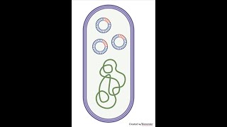 Introduction to Microbial Genetics and Gene ExpressionChapter 8 Lecture 1 [upl. by Tisbee]