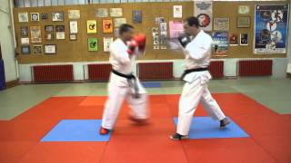 Nanbudo kumite 2  INF [upl. by Pressey]