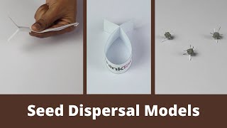 Seed Dispersal Models  ThinkTac  DIY Science [upl. by Qifahs]