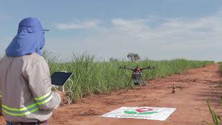 Aplicação com Drone de Cotesia flavipes  Grupo AGTech [upl. by Llerryt]