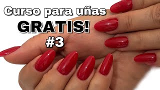 Clase 3 COMO APLICAR UÑAS ACRÍLICAS CON TIP NATURAL 💖 PRINCIPIANTES [upl. by Hsetirp]