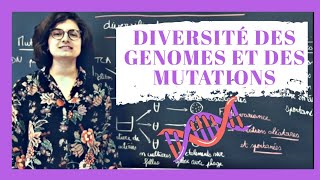 🧬 Diversité des mutations et génomes  Biologie prépa BCPST Terminale [upl. by Nissa]