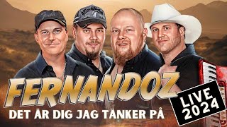 Fernandoz  Det är dig jag tänker på  Dansbandsmusik Live 2024 [upl. by Summers]