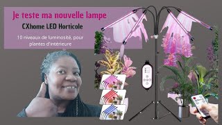 Je teste la lampe horticole pour éviter que mes semis ne filent [upl. by Farlay]