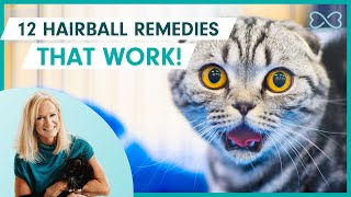 12 Remedies to Banish Cat Hairballs  That Actually Work [upl. by Anirbus179]