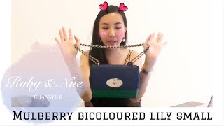 Mulberry Bicoloured Lily Bag Usage Review  玛百莉百合小号使用测评 [upl. by Euqram200]