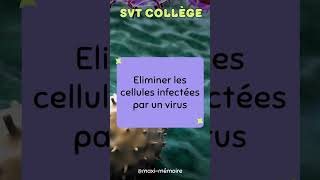 FLASHCARD SVT Collège 3324 mémoire commentmemoriser révision brevet college dnb flashcards [upl. by Kermit]