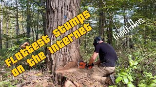 Sharp Saws and Flat Stumps Textbook Tree Cutting [upl. by Cullie]