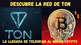 🌟💸 ¡Las 5 CRIPTOMONEDAS en TON para ALCANZAR la RIQUEZA 🚀💰 [upl. by Herrington944]