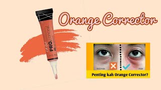 Ampuhkah Menutupi Mata Panda Dengan Orange Corrector [upl. by Edrei]