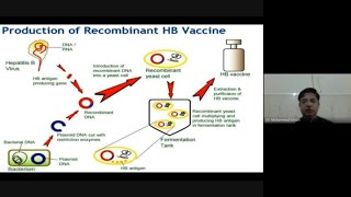 Recombinant therapeutic proteins production [upl. by Dde]