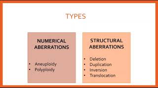 Chromosomal Aberrations [upl. by Emiatej]