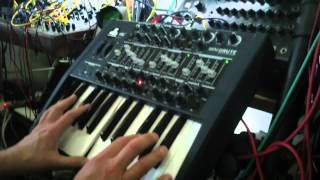 minibrute demo sequences [upl. by Hajed]