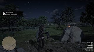 Red Dead Redemption 2  Perfect Skunk carcass [upl. by Isleen545]