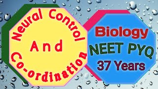 NEET PYQBiology MCQ Neural Control And Coordination [upl. by Patton]