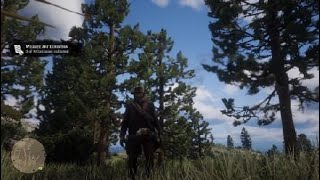 Red Dead Redemption 2 Robin amp Baltimore Oriole Location [upl. by Patin150]