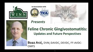 Feline Chronic Gingivostomatitis Updates and Future Perspectives [upl. by Traweek662]