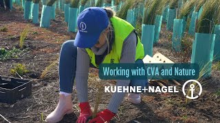 Kuehne  Nagel on volunteering with CVA buildbacknature [upl. by Naelopan640]