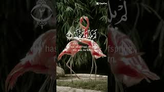 Sura ashlar  islamicscripture duet islamictext birds unfrezzmyaccount ulquran beautiful [upl. by Bloomer]