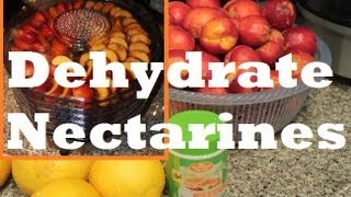 How to make Dehydrated Dried Nectarine Fruit with Waring Pro Food Dehydrator [upl. by Atauqal]