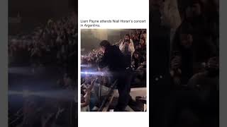 Liam Payne attended Nialls concert in Argentina [upl. by Yrrah]