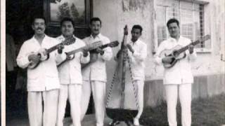 EL PAJARO CARPINTERO  CONJUNTO JAROCHO VILLA DEL MAR DE ANGEL VALENCIA  SON JAROCHO [upl. by Cody]