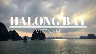 Vietnam  Amazing Halong Bay Cruise with quotSignature Cruisequot  Magda T [upl. by Eeral]