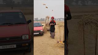 honeybrar maruti800 punjabisong punjab turbanator turban pagg punjabivirsa kurtachadra [upl. by Naples]