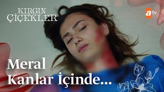 Meral kanlar içinde  Kırgın Çiçekler Mix Sahneler [upl. by Briggs]