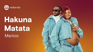 Marioo  Hakuna Matata Official lyrics video [upl. by Lela771]