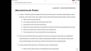 Macromolecules Poster Instructions [upl. by Wandy644]