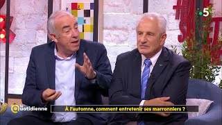 A lautomne comment entretenir ses marronniers [upl. by Rimahs]