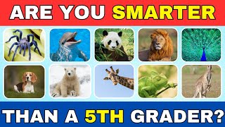 Are You SMARTER Than a 5th Grader 🧠 📕 Animal Knowledge Quiz [upl. by Hsitirb134]