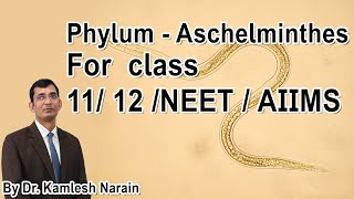 Phylum  Aschelminthes  Nemathelminthes  Nematoda class 11 12 NEET  AIIMS By DR KAMLESH NARAIN [upl. by Tiduj]