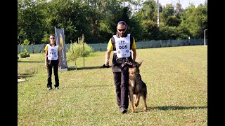 BH TEST 2018 GIUDICE CODEMO STEFANO  SezA 6060 punti Stefano Bonaldo con HMM quotCHEWBACCAquot [upl. by Liss]