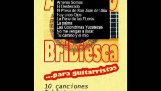 Tablaturas para Guitarra de Antonio Bribiesca y otros guitarristas [upl. by Greerson]